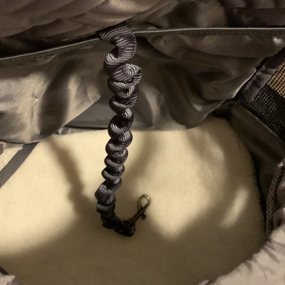 Small animal backpack carrier. Looks very clean - Picture 2 of 13